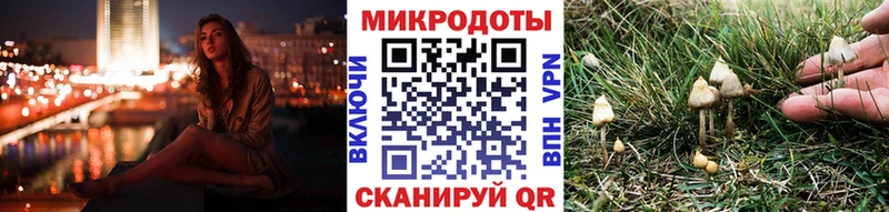 Галлюциногенные грибы Psilocybe  купить закладку  Власиха 